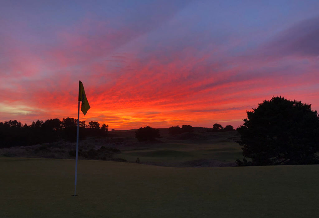 Pacific Dunes