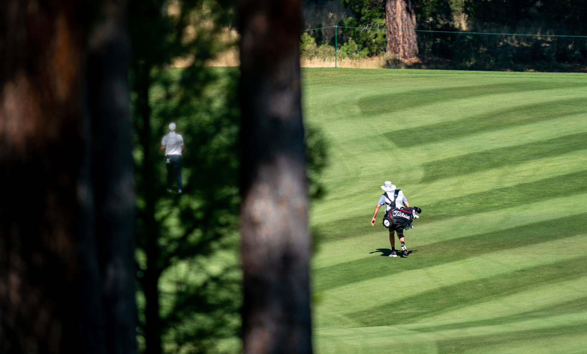 9 Reasons caddying at a country club is a great summer gig Caddie Network