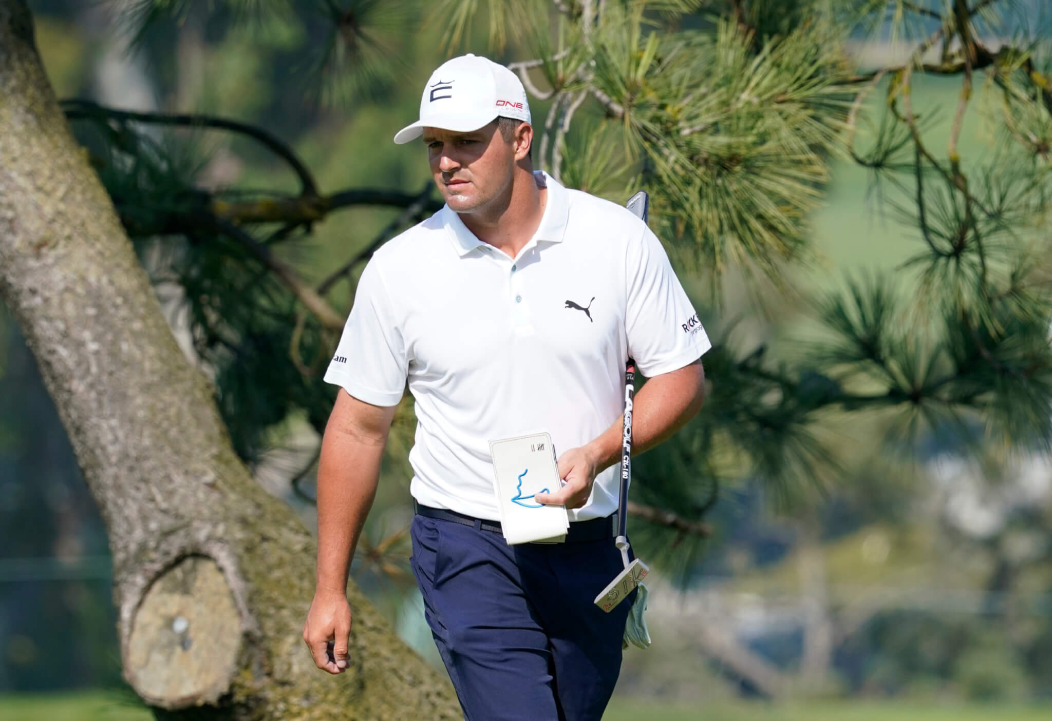 Caddies react to players voting out greenreading books Caddie Network