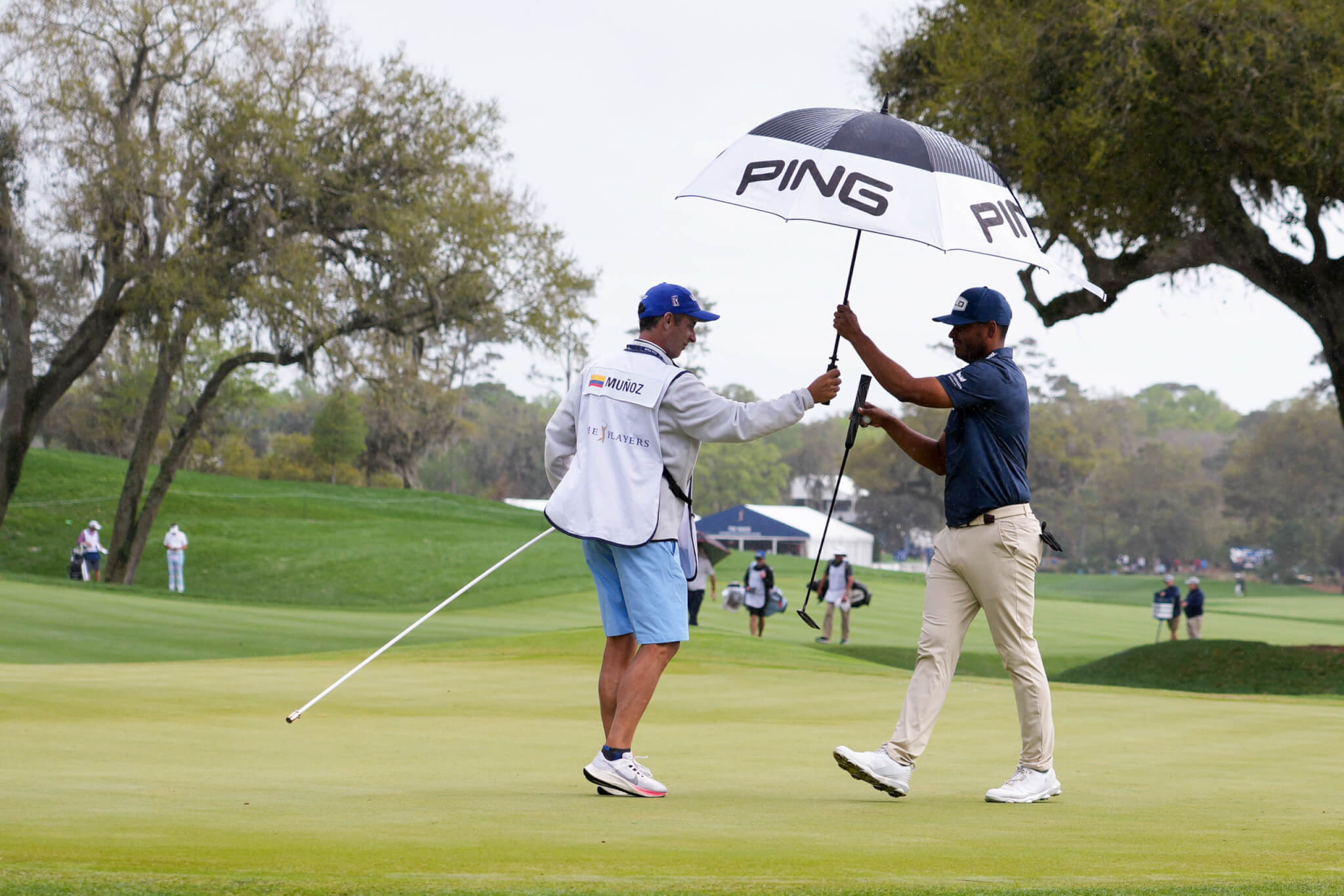 A Fresh Voice in the World of Golf The Caddie Network