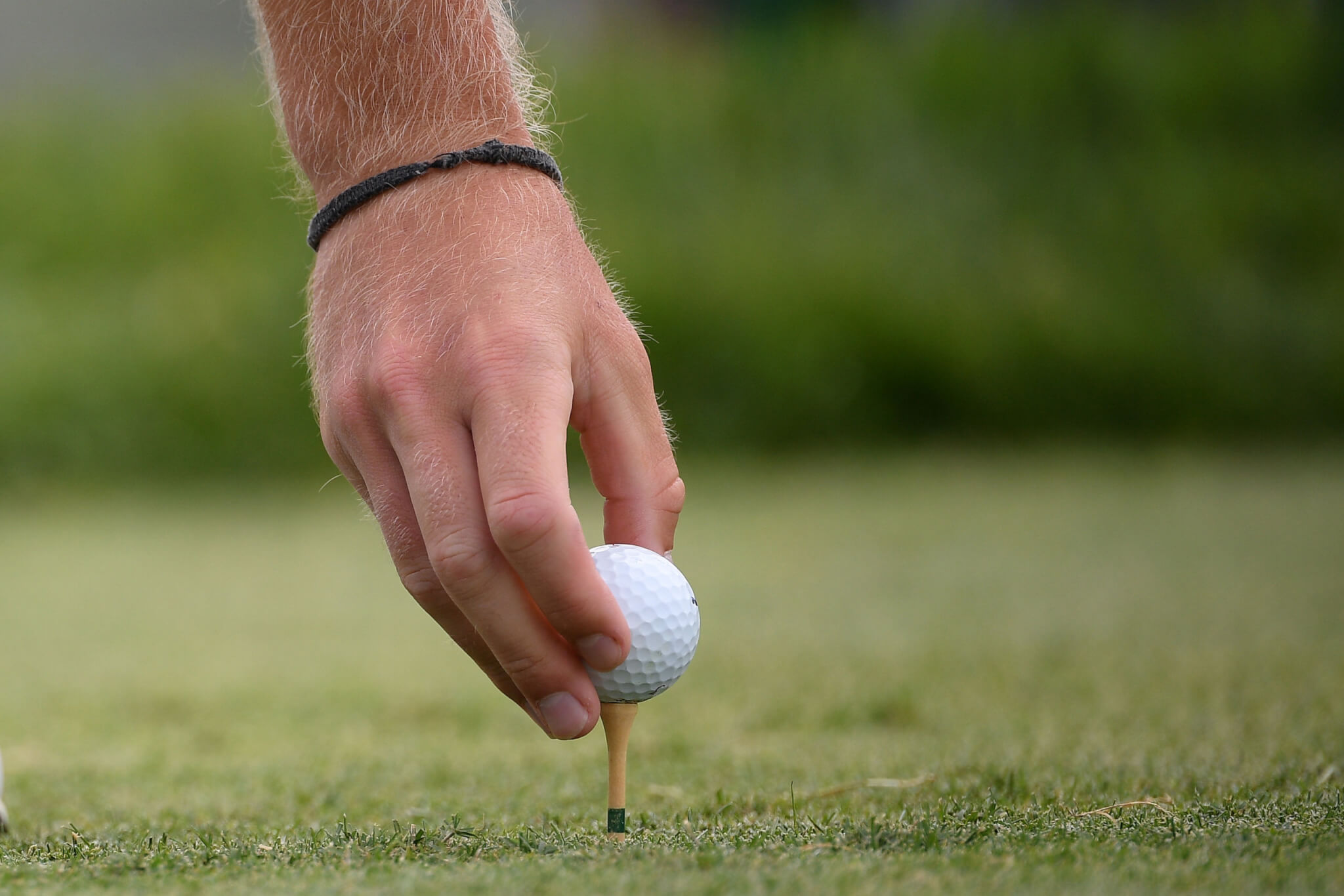 Caddie Picks How they fared at the 2019 Wyndham Championship Caddie